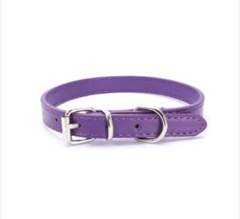 Collar Dog Chain